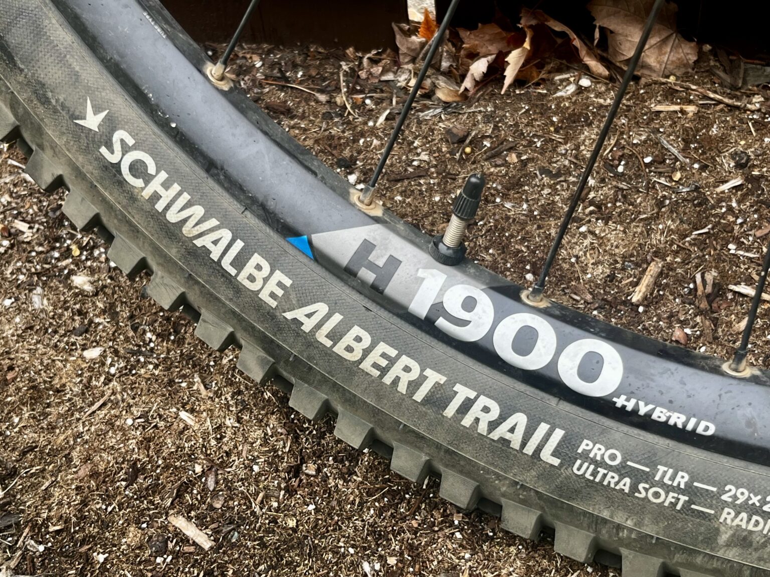Schwalbe Albert radial tires