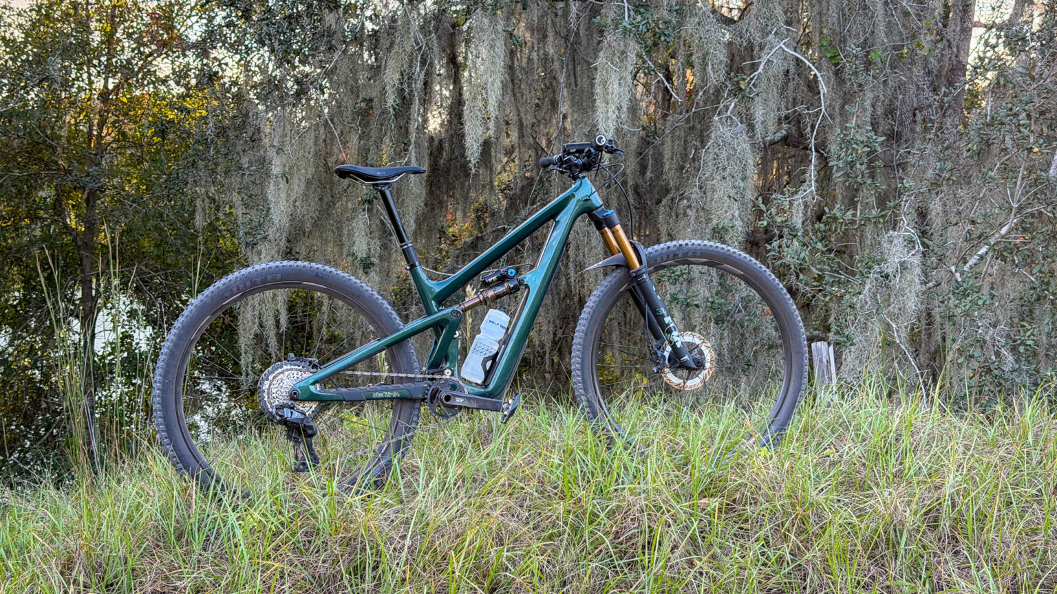 Ibis Ripley in Florida