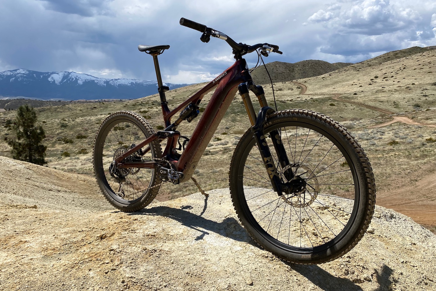 profile shot of the Specialized Turbo Levo 4