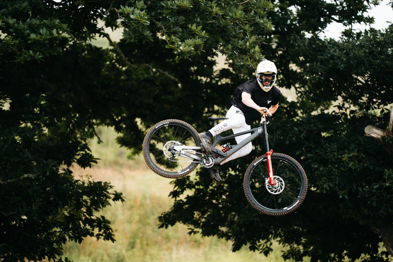 Tues Limited 2025 whip