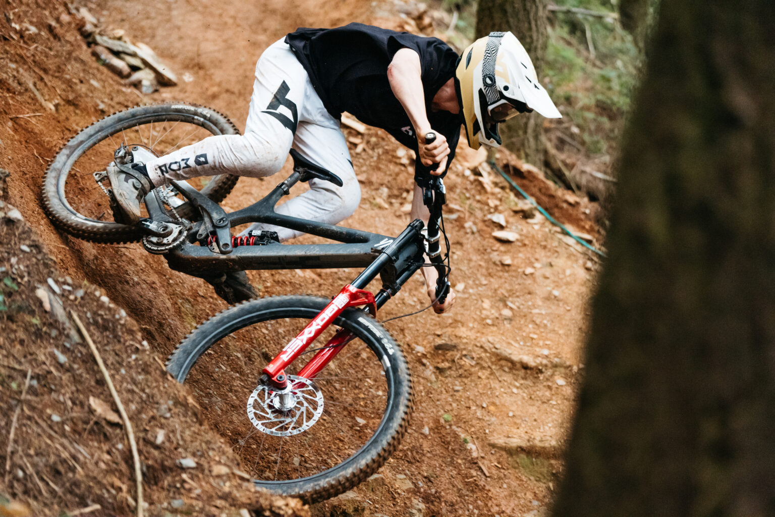 Cornering the Tues Limited 2025