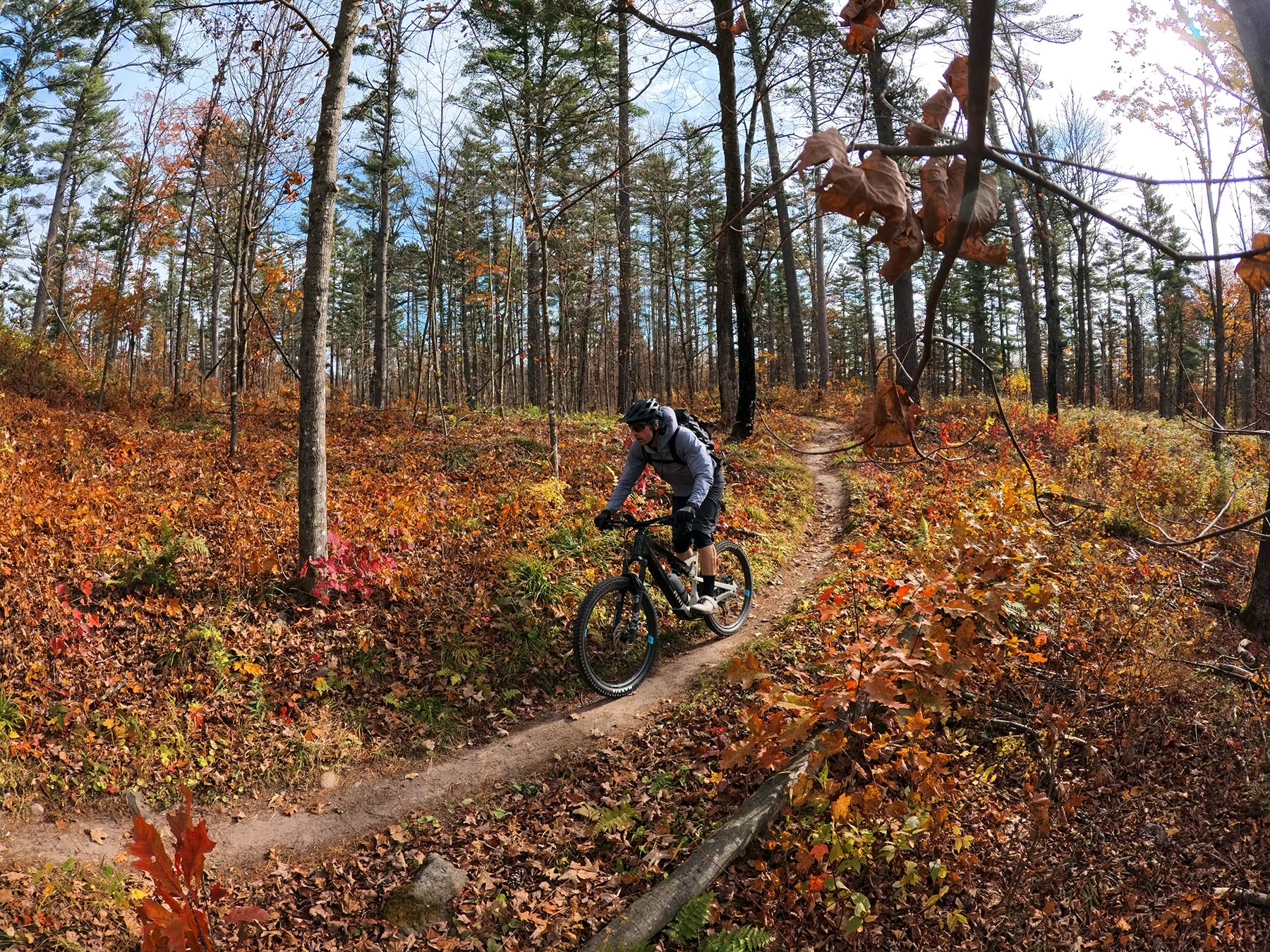 mountain biker riding camba trails in cable wisconsin.