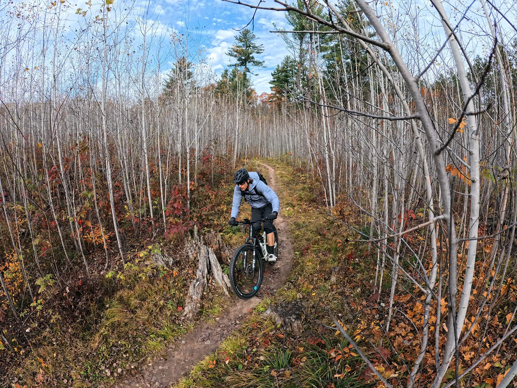 mountain biker riding camba trails in cable wisconsin.