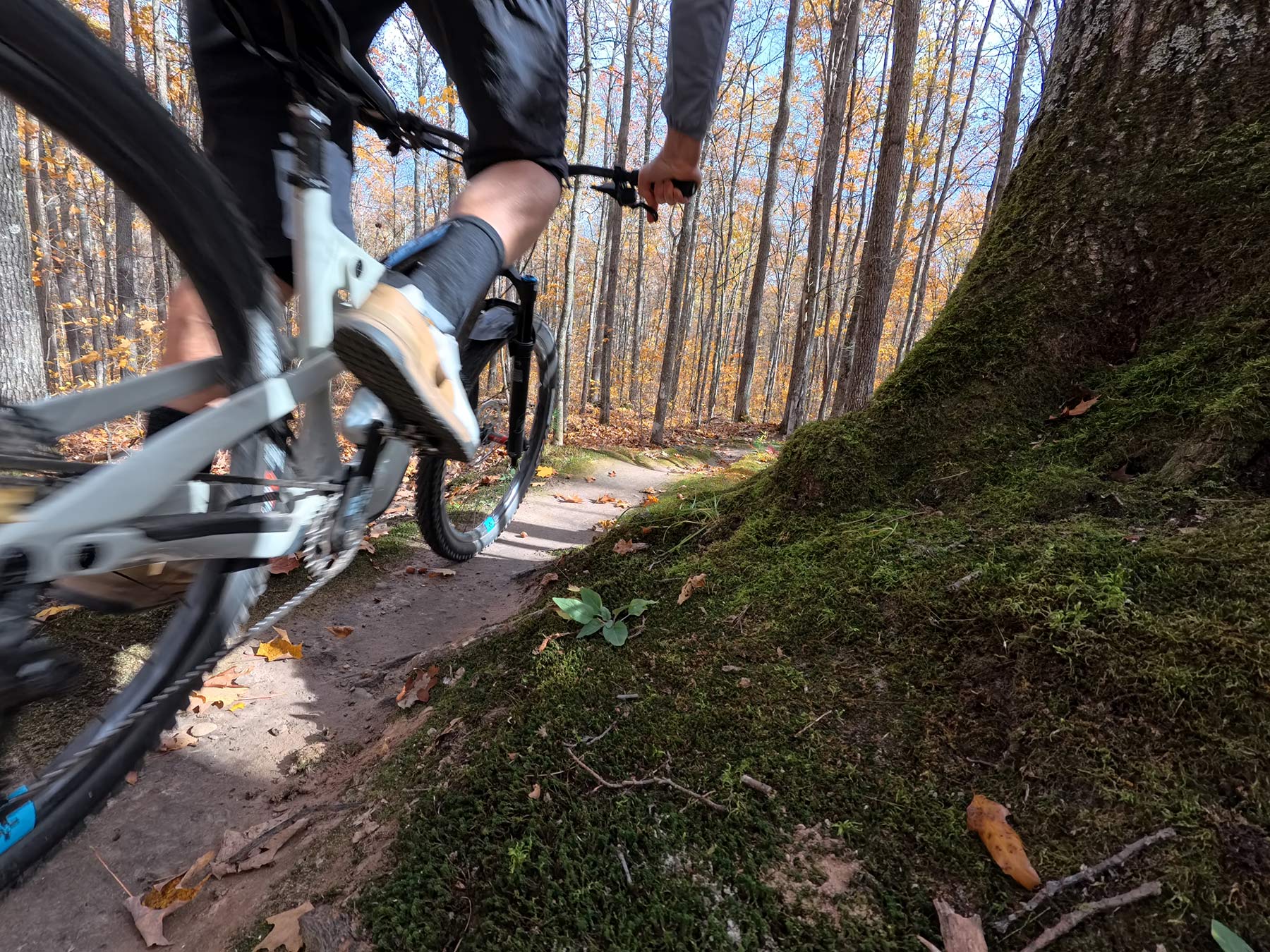 mountain biker riding camba trails in cable wisconsin.