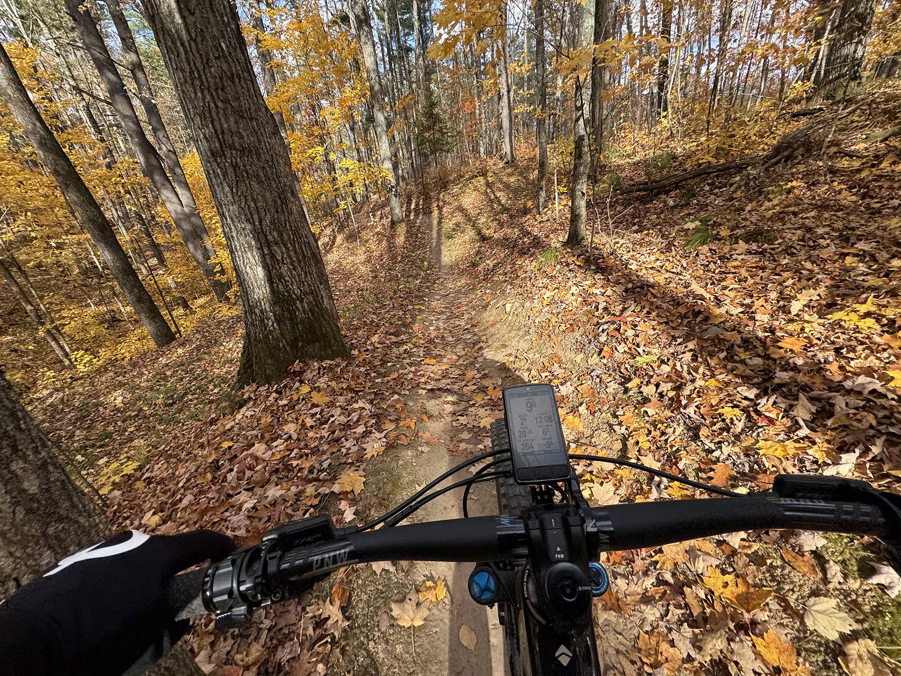 mountain biker riding mt telemark village mountain bike trails in cable wisconsin.