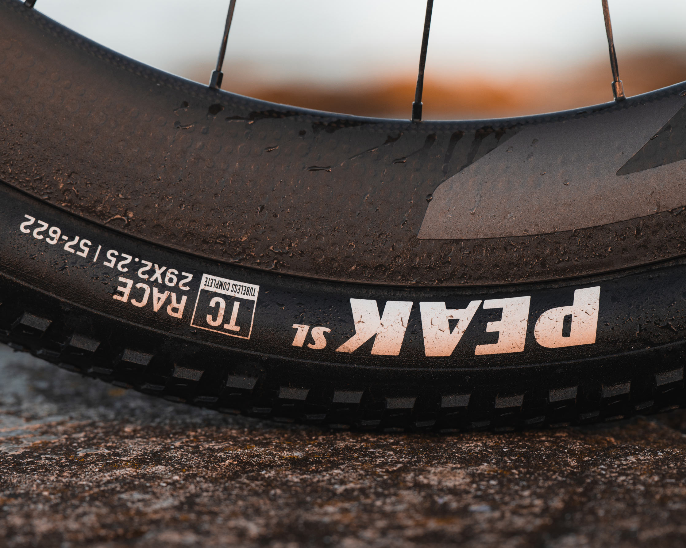 closeup details of lauf siegla ultimate r gravel bike limited edition.