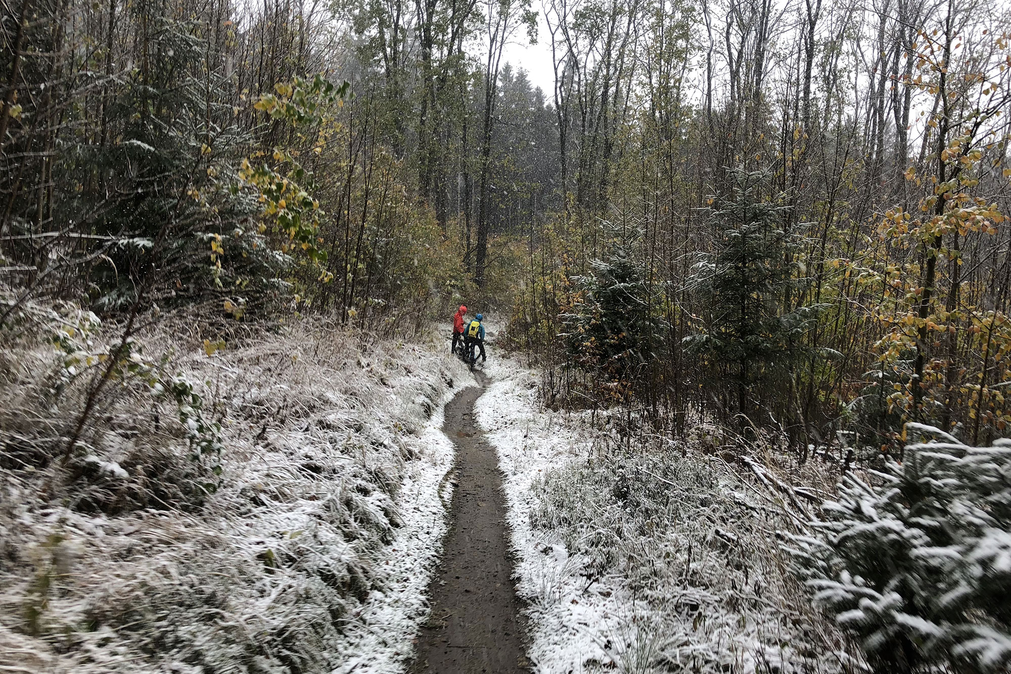 2026 BikeRumor bike industry predictions, winter singletrack