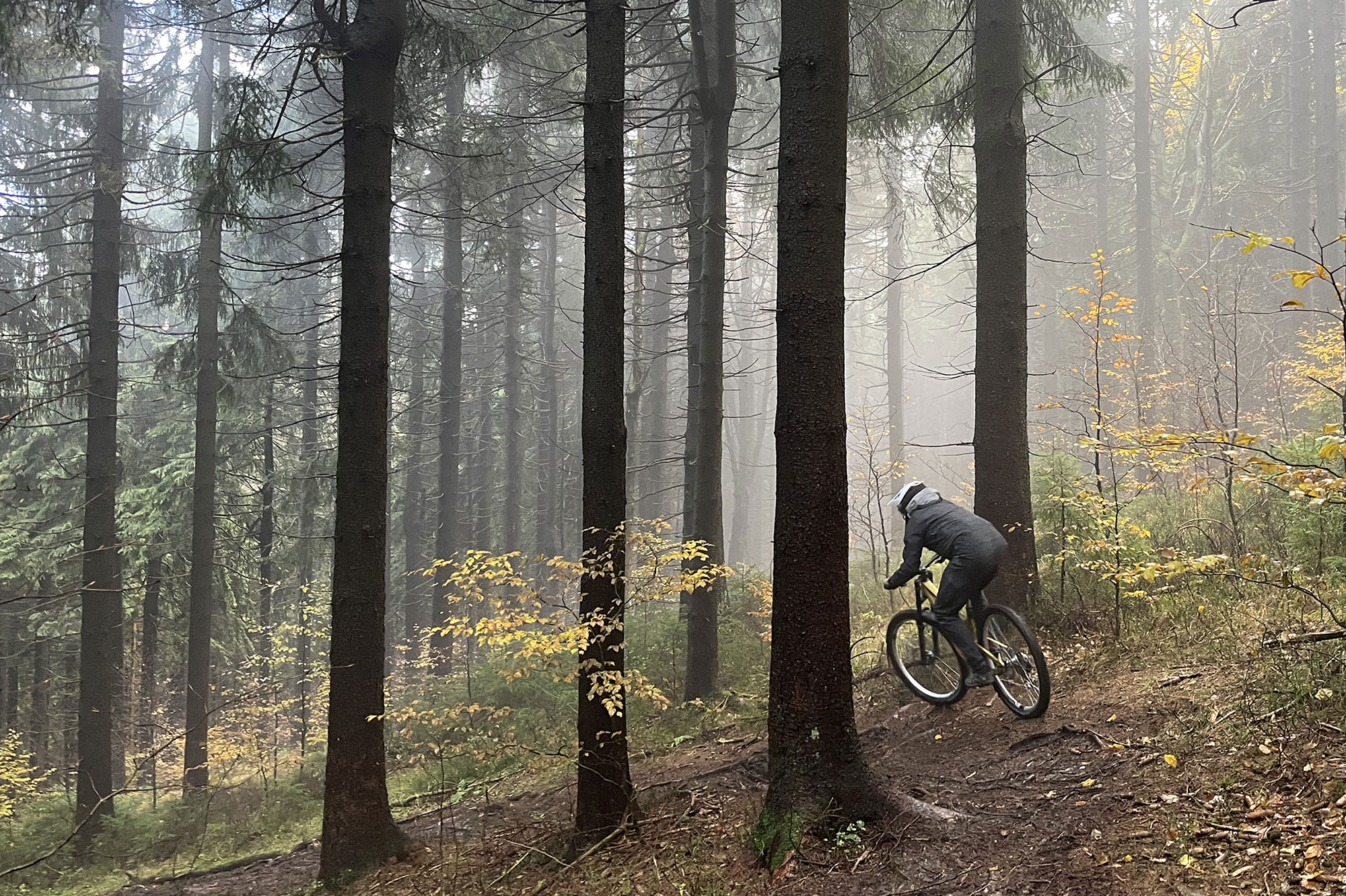 2026 BikeRumor bike industry predictions, drop it like it's hot