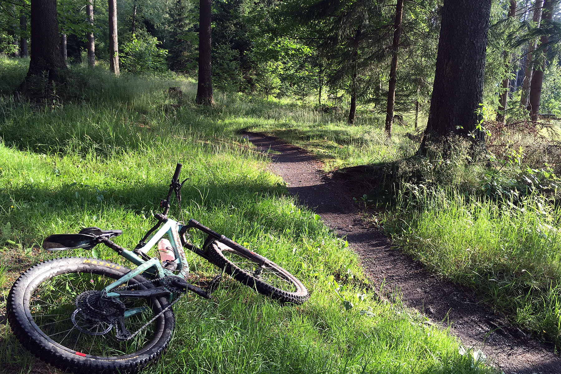 2026 BikeRumor bike industry predictions, lush singletrack