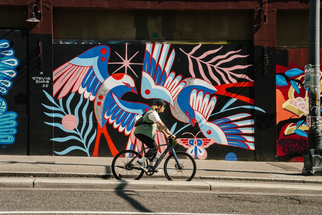 Aventon Soltera 3 ADV Singlespeed eBike colorful mural