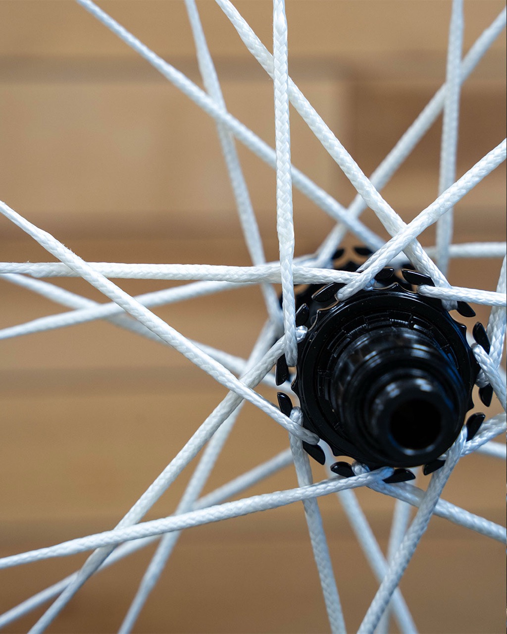 Berd DH and 32 Inch Spokes polylightx