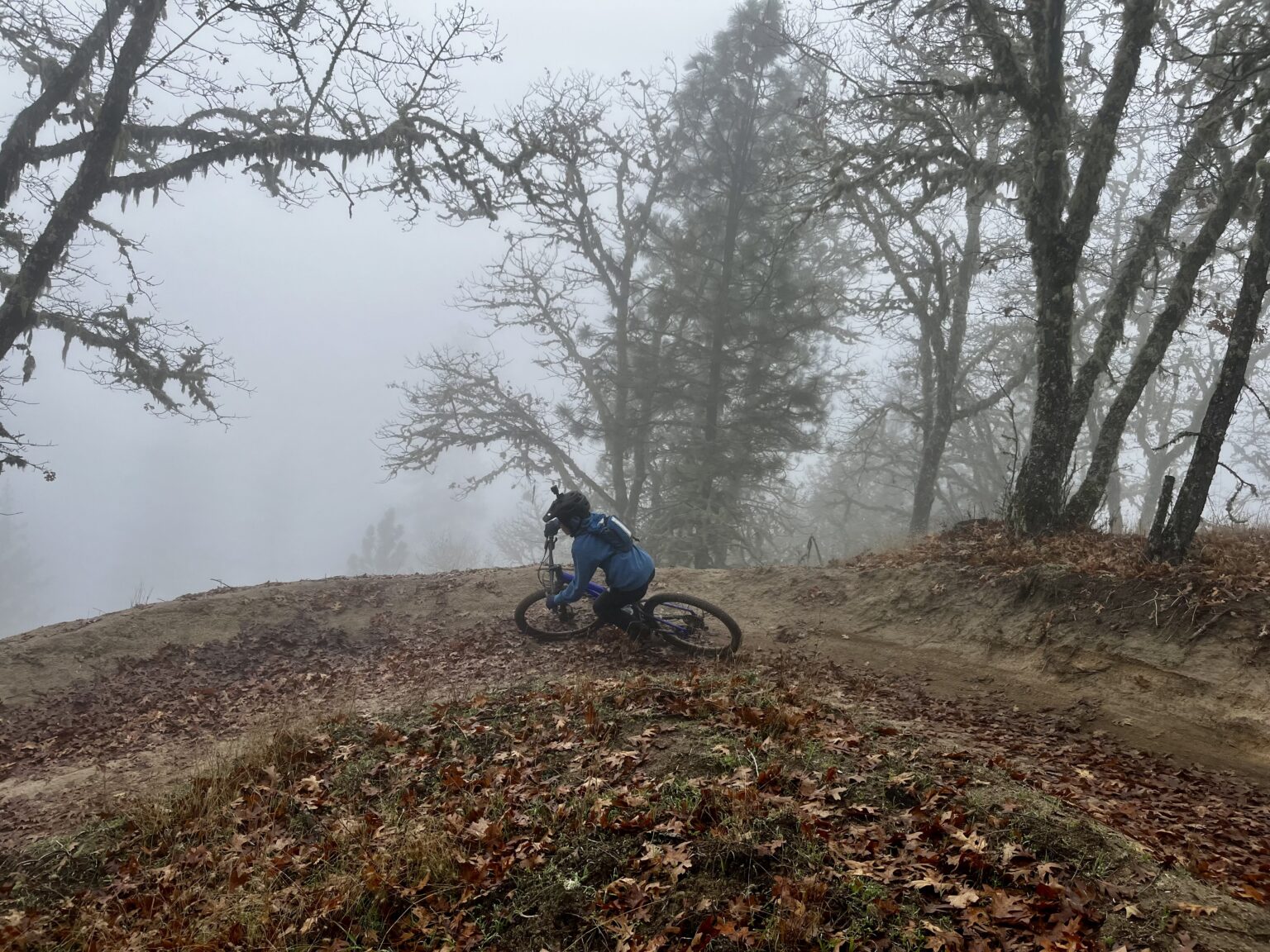 local ripper at Dollar Mountain