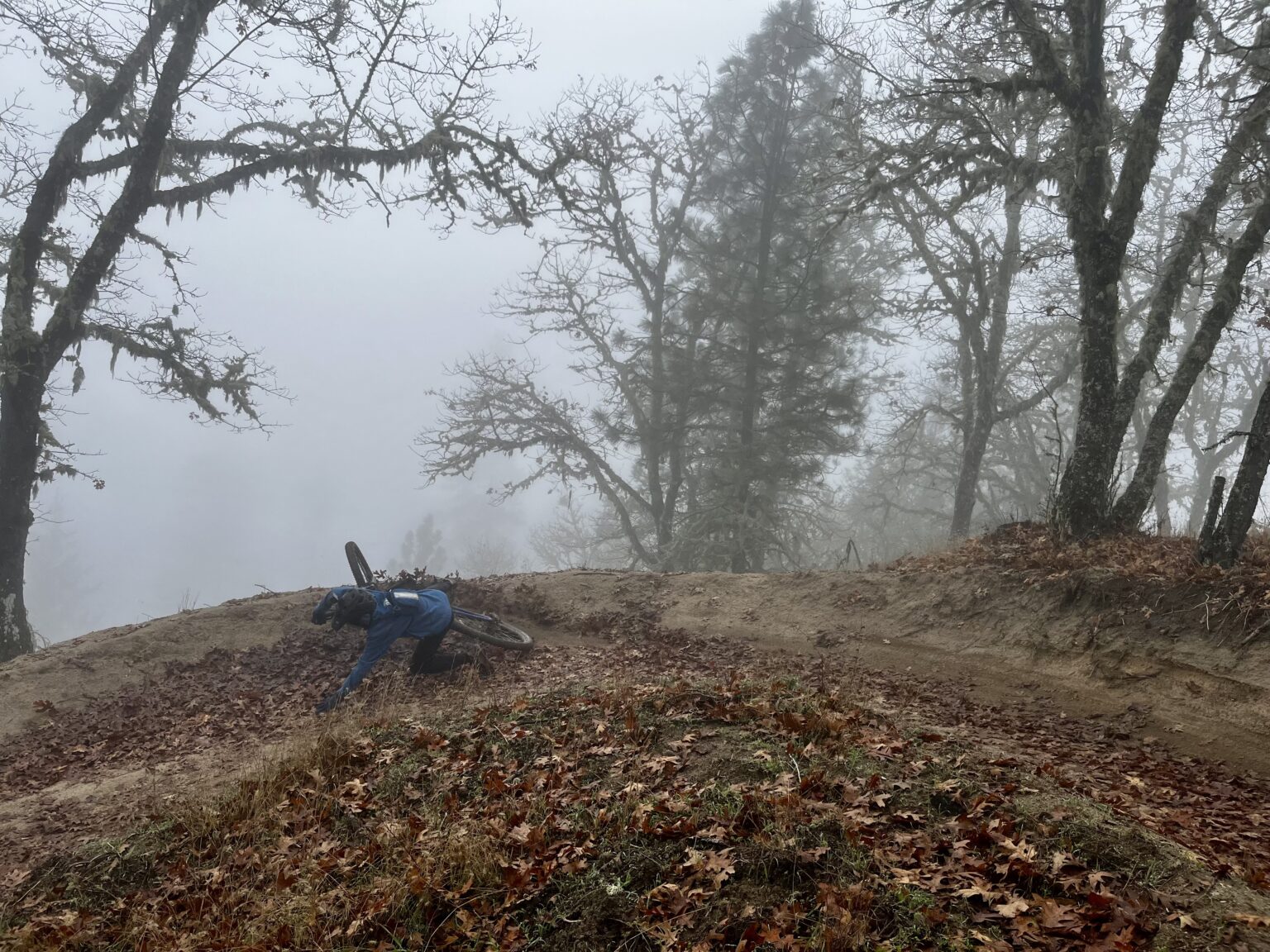 local ripper at Dollar Mountain