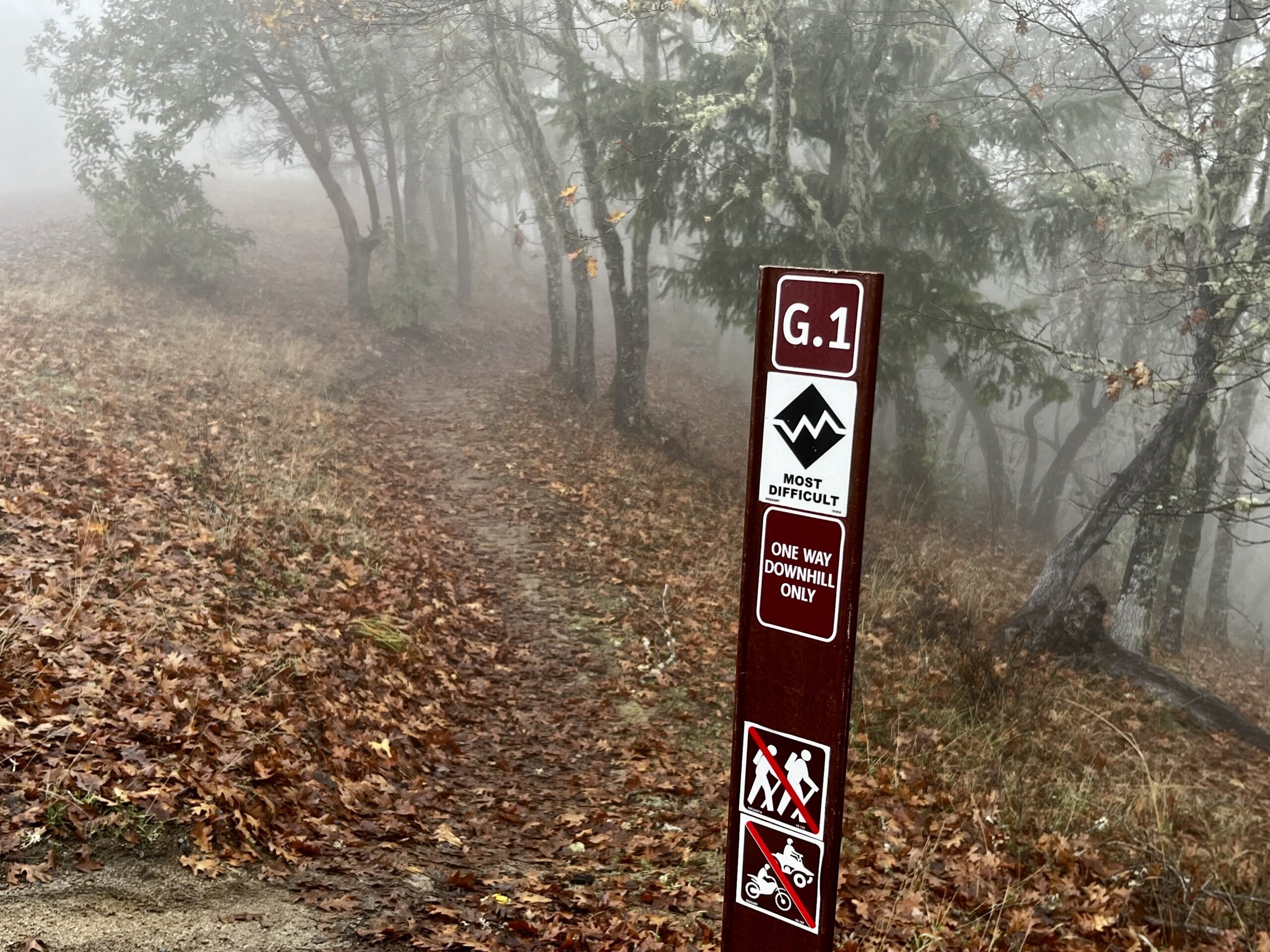 Southern Oregon has a New Mountain Bike Destination: Say Hello to Grants Pass