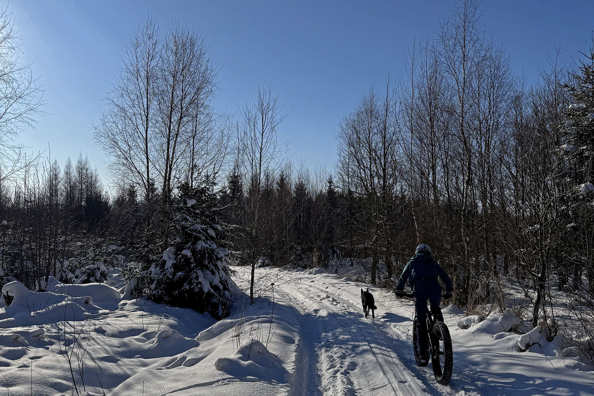 riding off into winter wonderland on a fatbike with a mechanical mountain bike derailleur