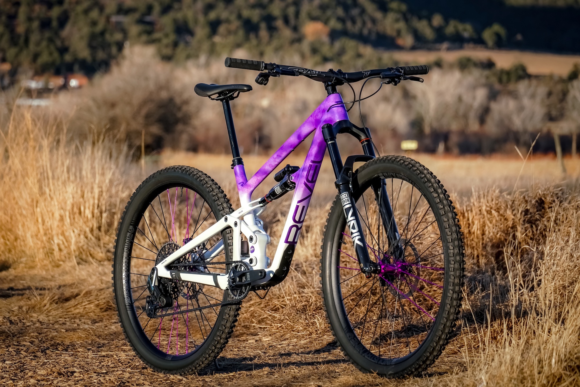 You Could Win This Custom Rascal SL in Revel x LoveYourBrain’s Fundraiser