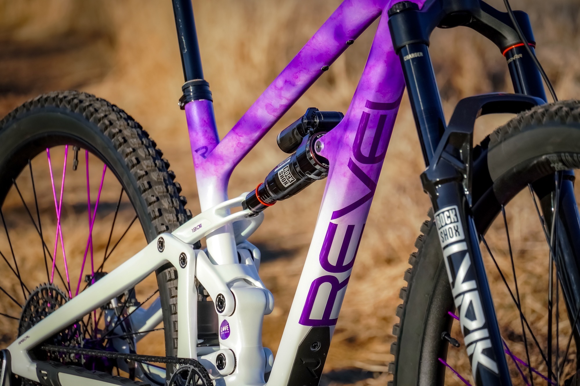 close view of the custom paint on the Rascal SL frame for the LoveYourBrain giveaway