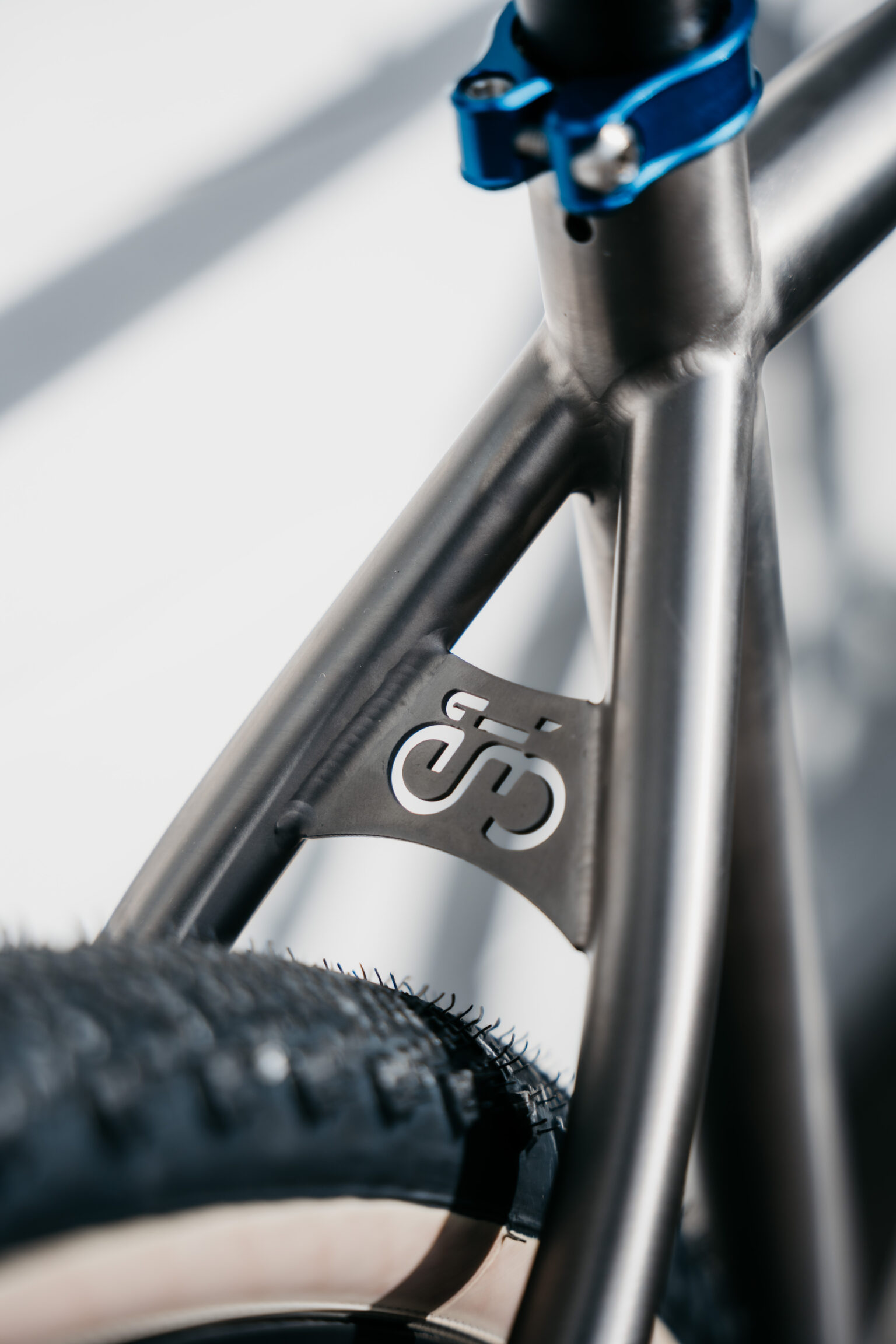close up of eddy merckx logo on stays arch