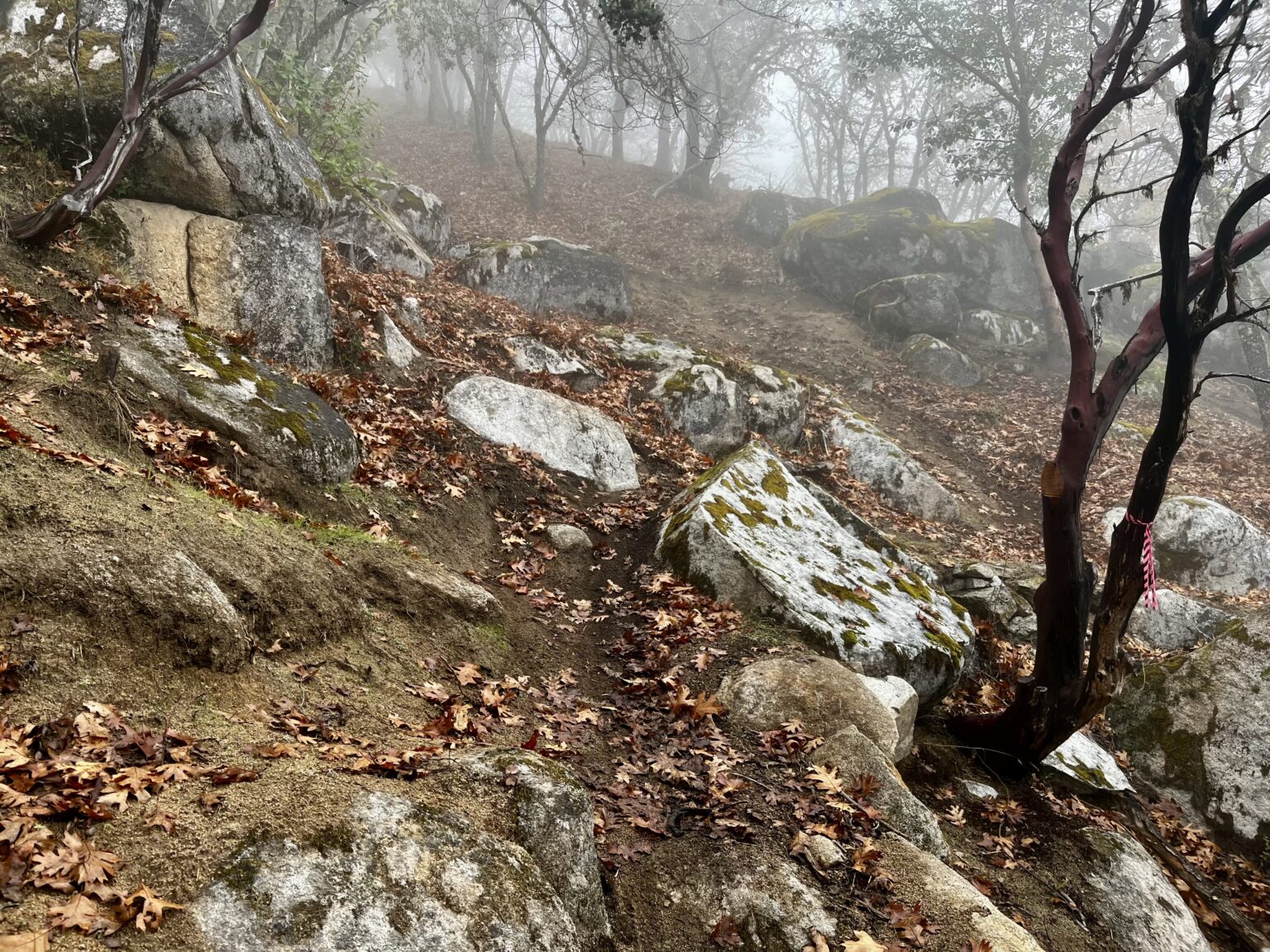 technical sections on debt collector at Dollar Mountain