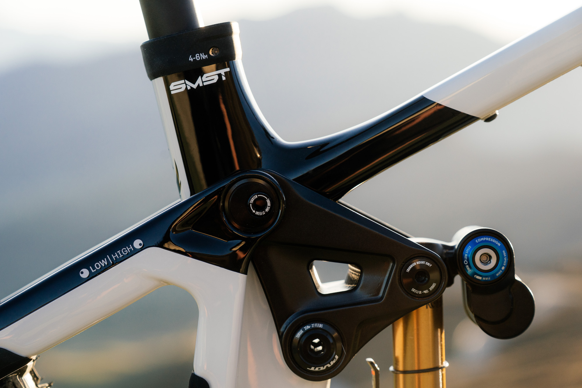 the linkage flip chip to adjust geometry and preserve it when switching wheel sizes.