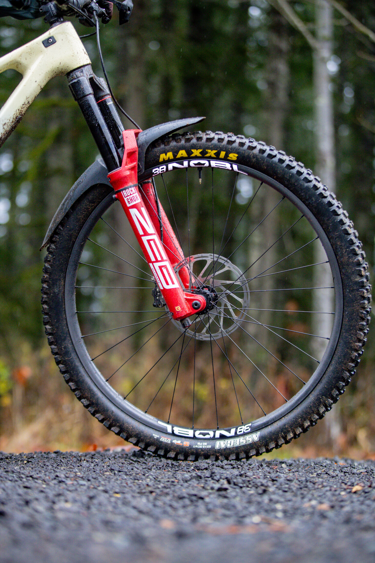 Signature 38 on a Forbidden