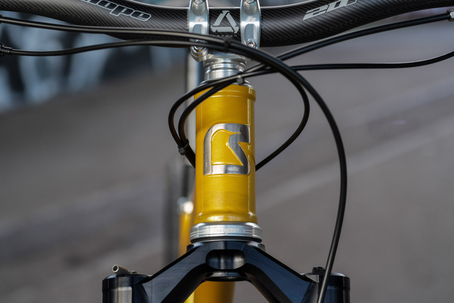 Starling Big Bird headtube