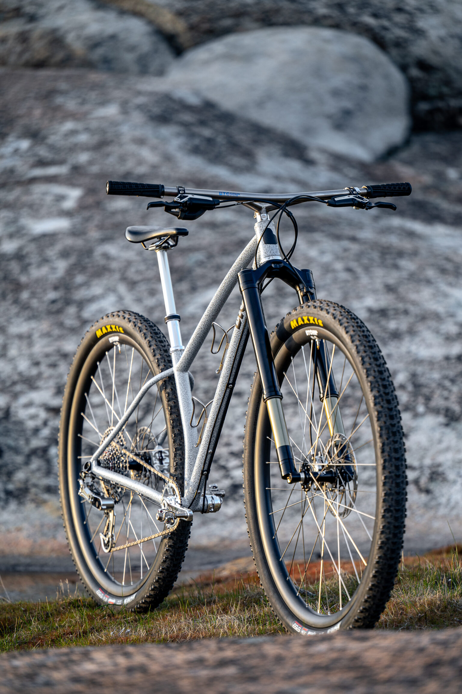 Btchn Alpina 32" hardtail