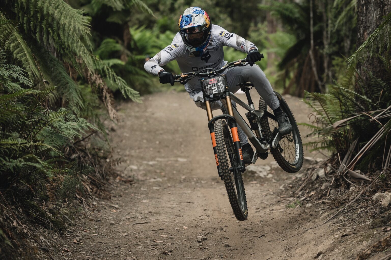 Den nye Fox 40 har gemt sig i åbent øjemed med professionelle ryttere som Asa Vermette, der kørte den på Red Bull Hardline Tasmania. (Alle billeder/Fox)