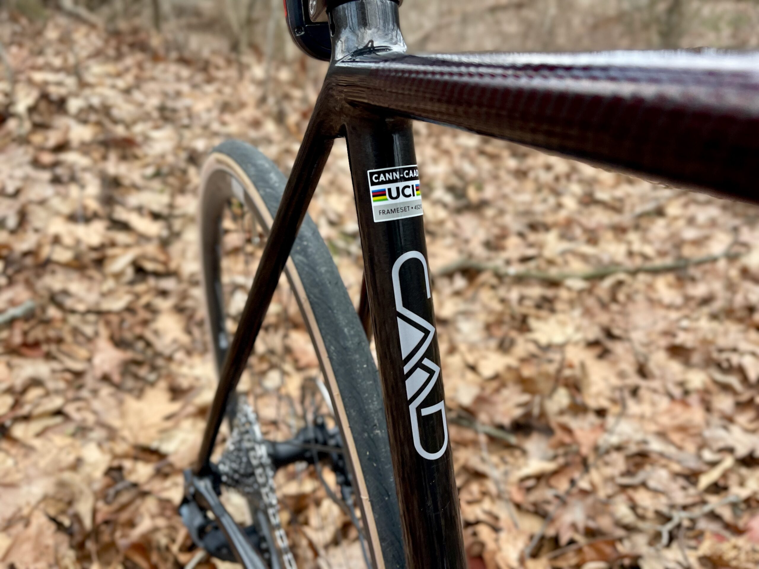 Cannondale CAAD 14 2 Review CAAD logo