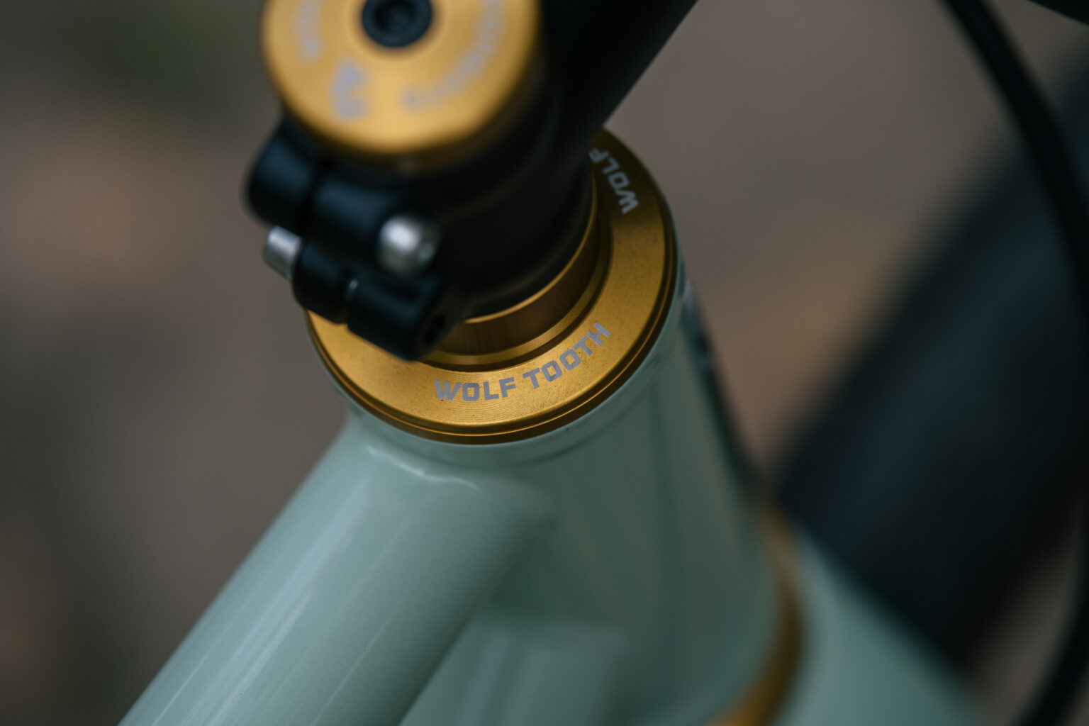 Otso pairs the Warakin well with WTC