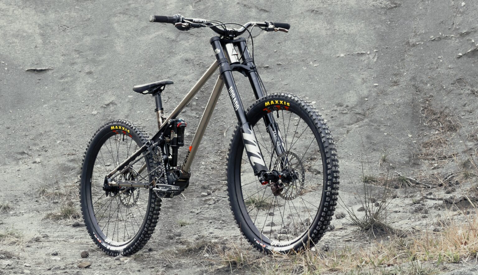 Terra Bikes new Nera DH bike