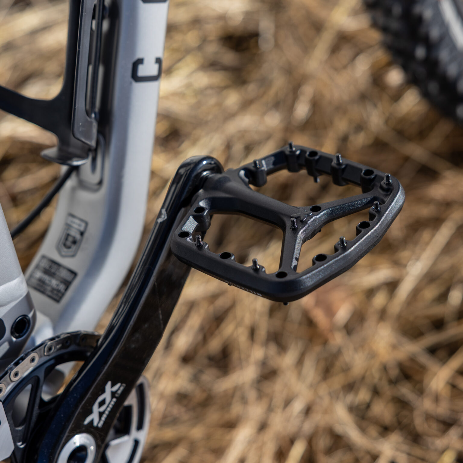 SixPack Millenium 4.0 in black