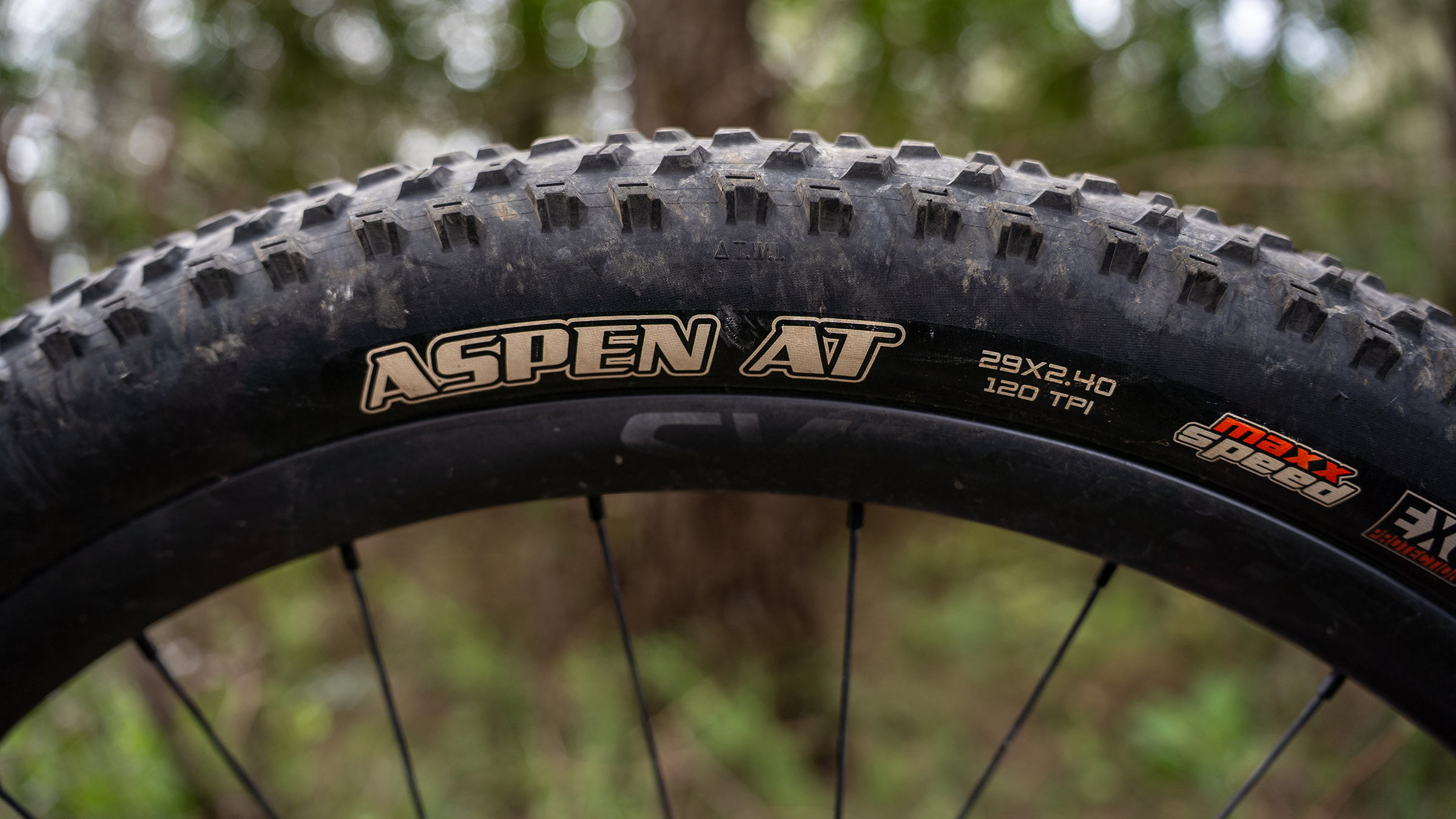 206 Maxxis Aspen AT more capable, knobby XC mountain bike tire: sidewall detail