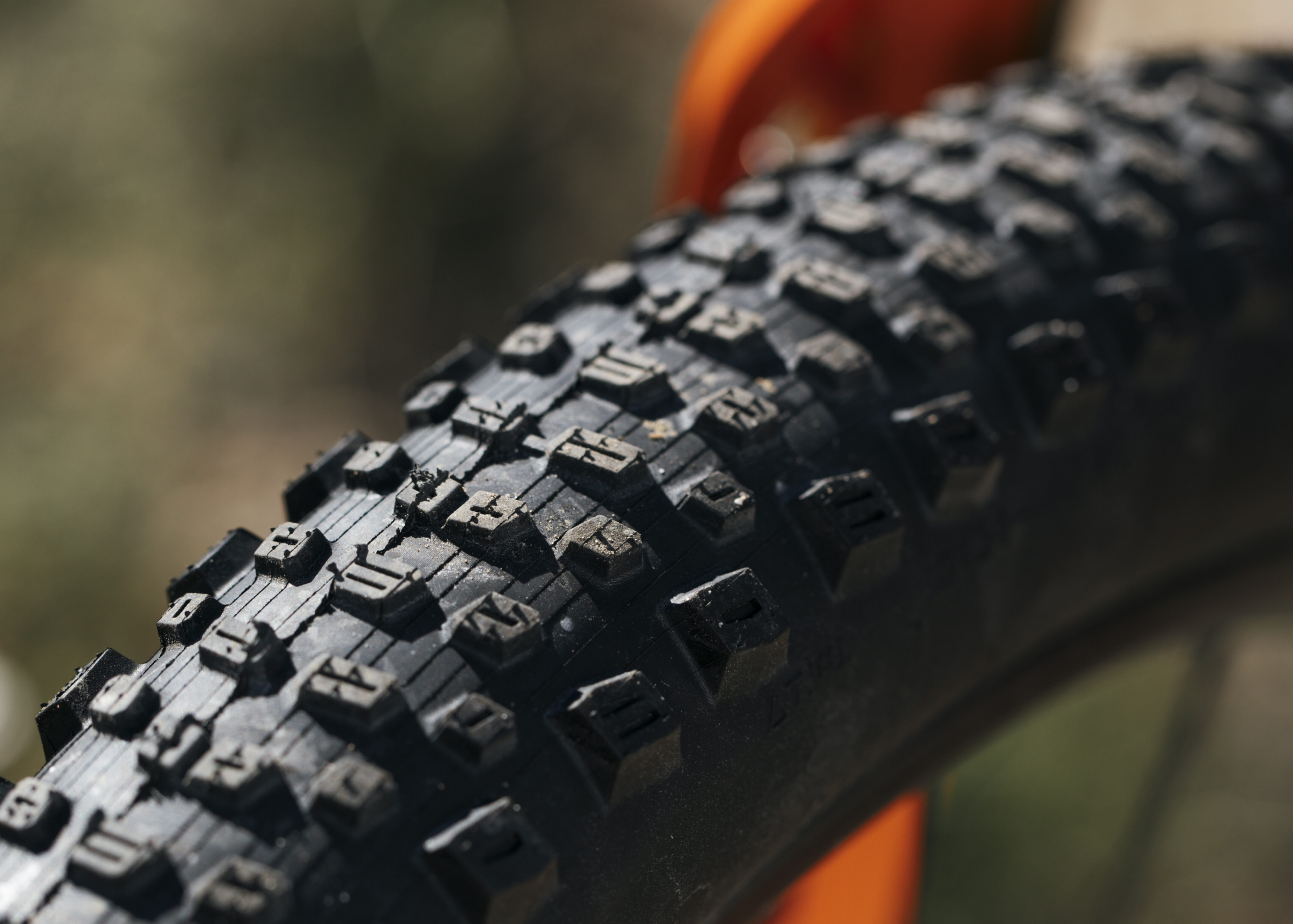 Kenda Tire Dagger_N3A1597