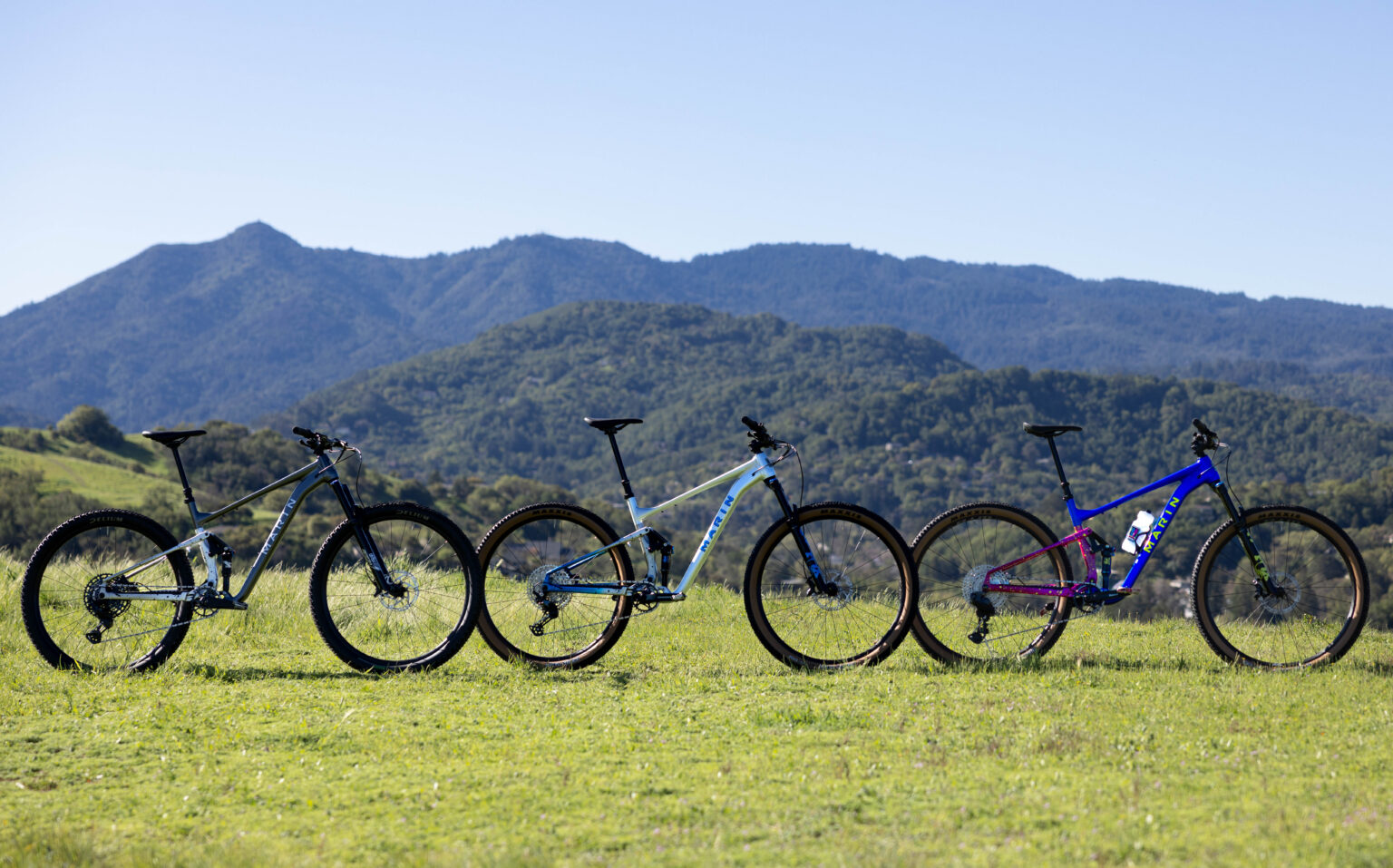 marin tam 1, 2, and XR