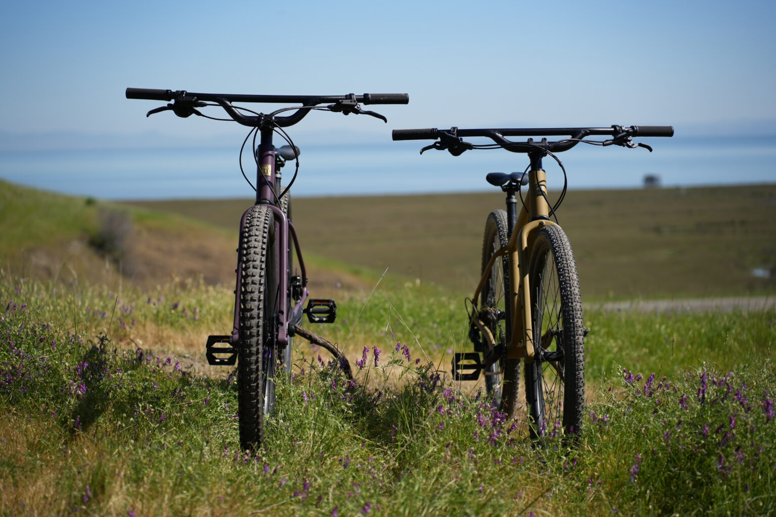 Redshift Top Shelf Flat Bar