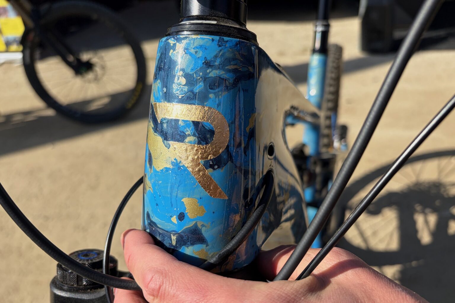 the gold leaf head badge on the dipped Revel ReRun.