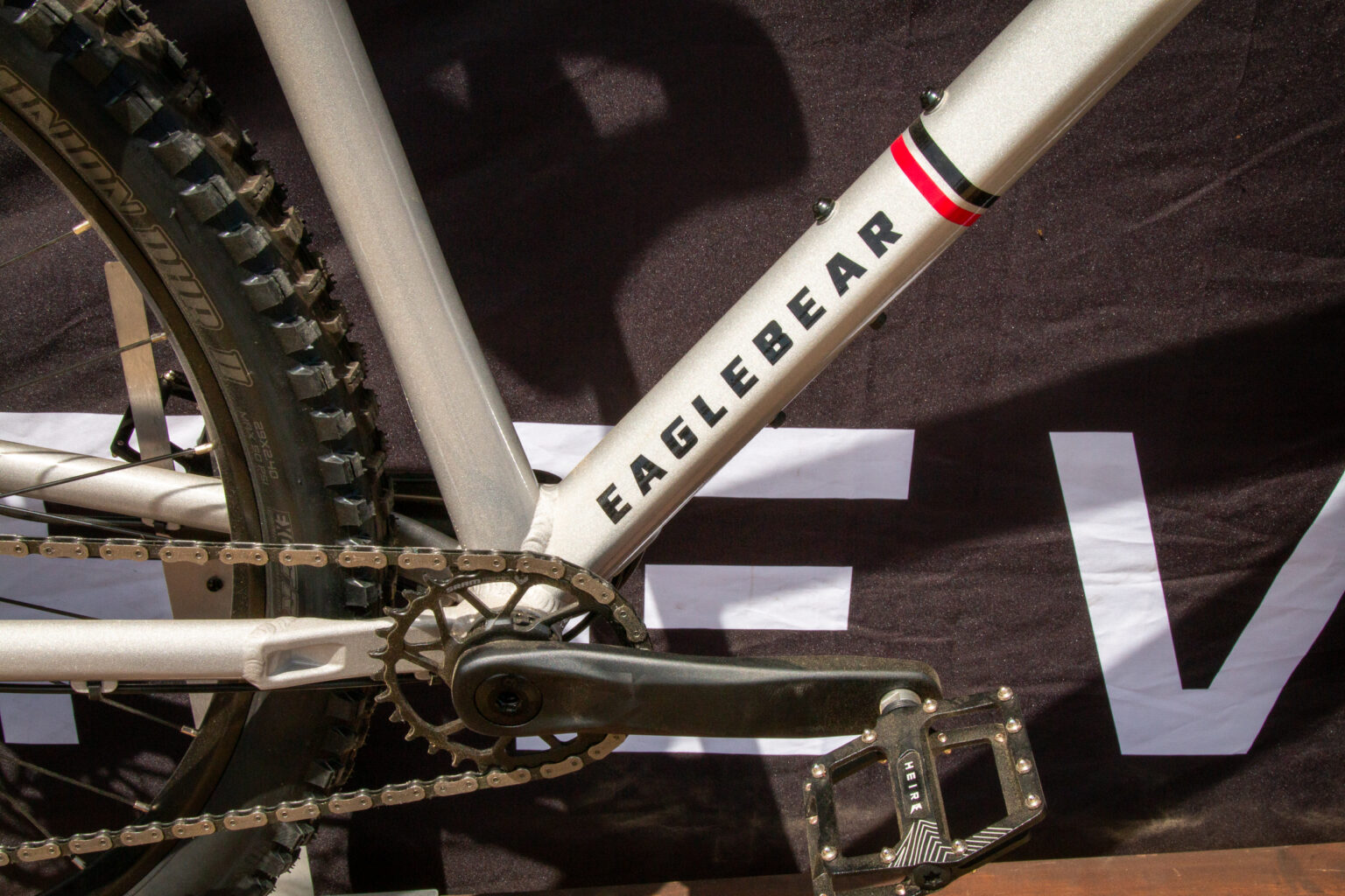 Eagle Bear mountain bike downtube