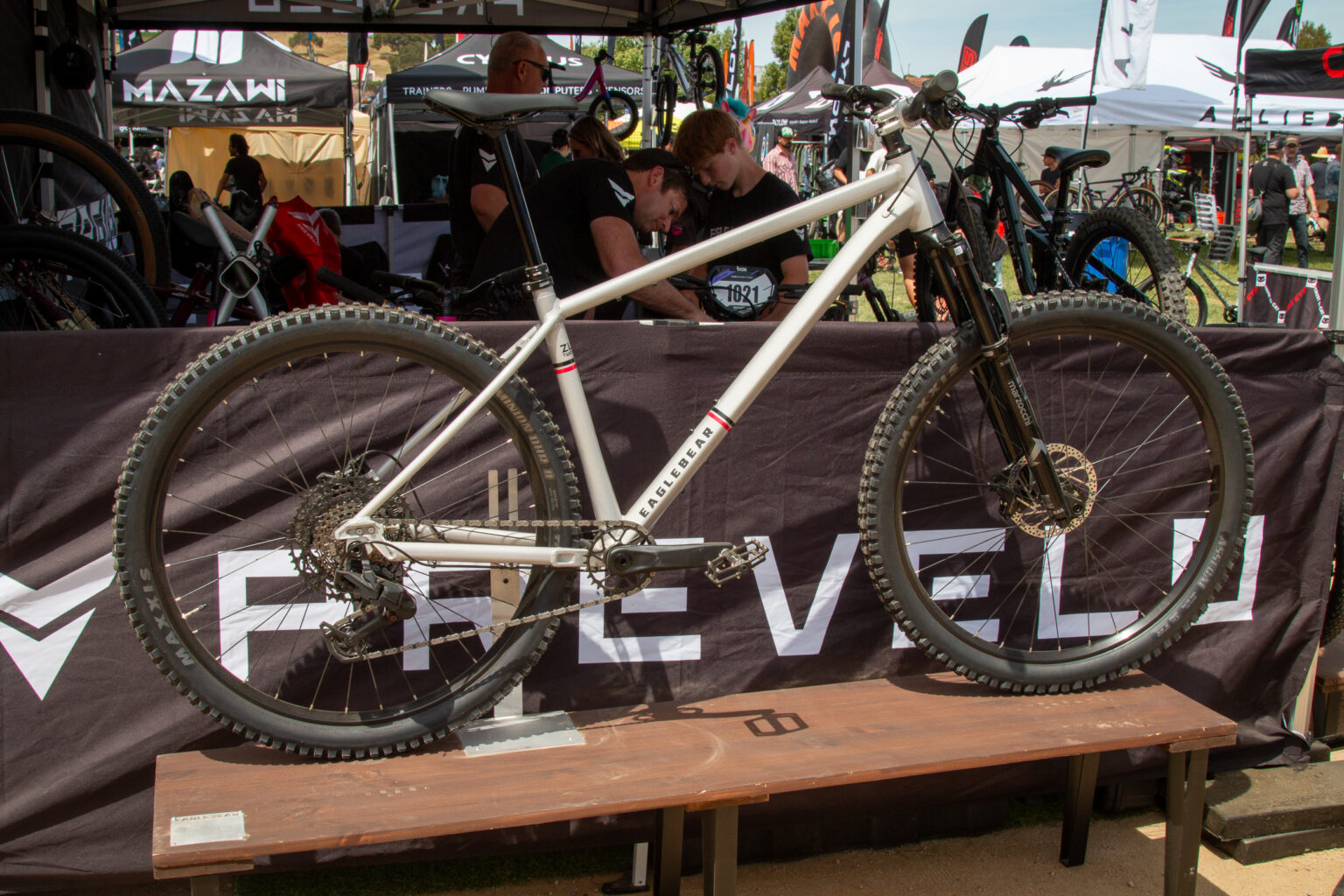 Eagle Bear mountain bike
