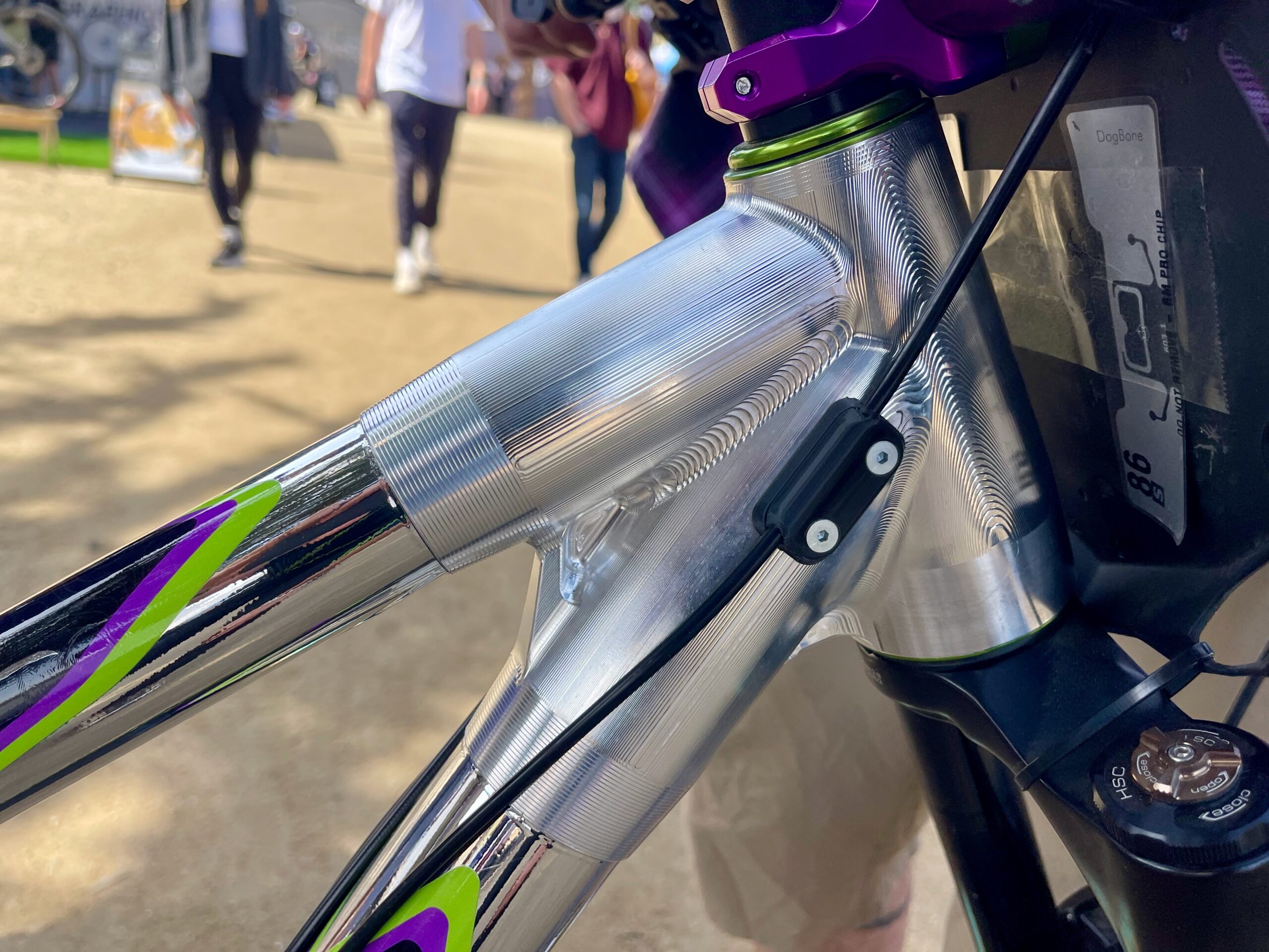 ShredLine Bicycle Co Eden Pinion bike headtube