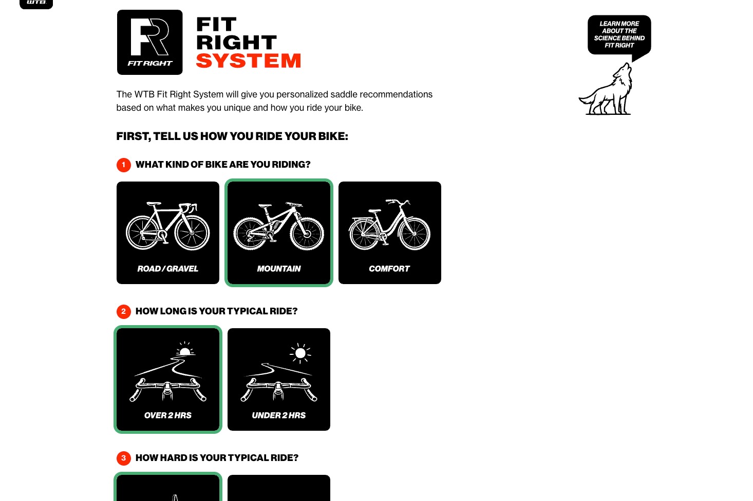 screenshot of the WTB Fit Right page