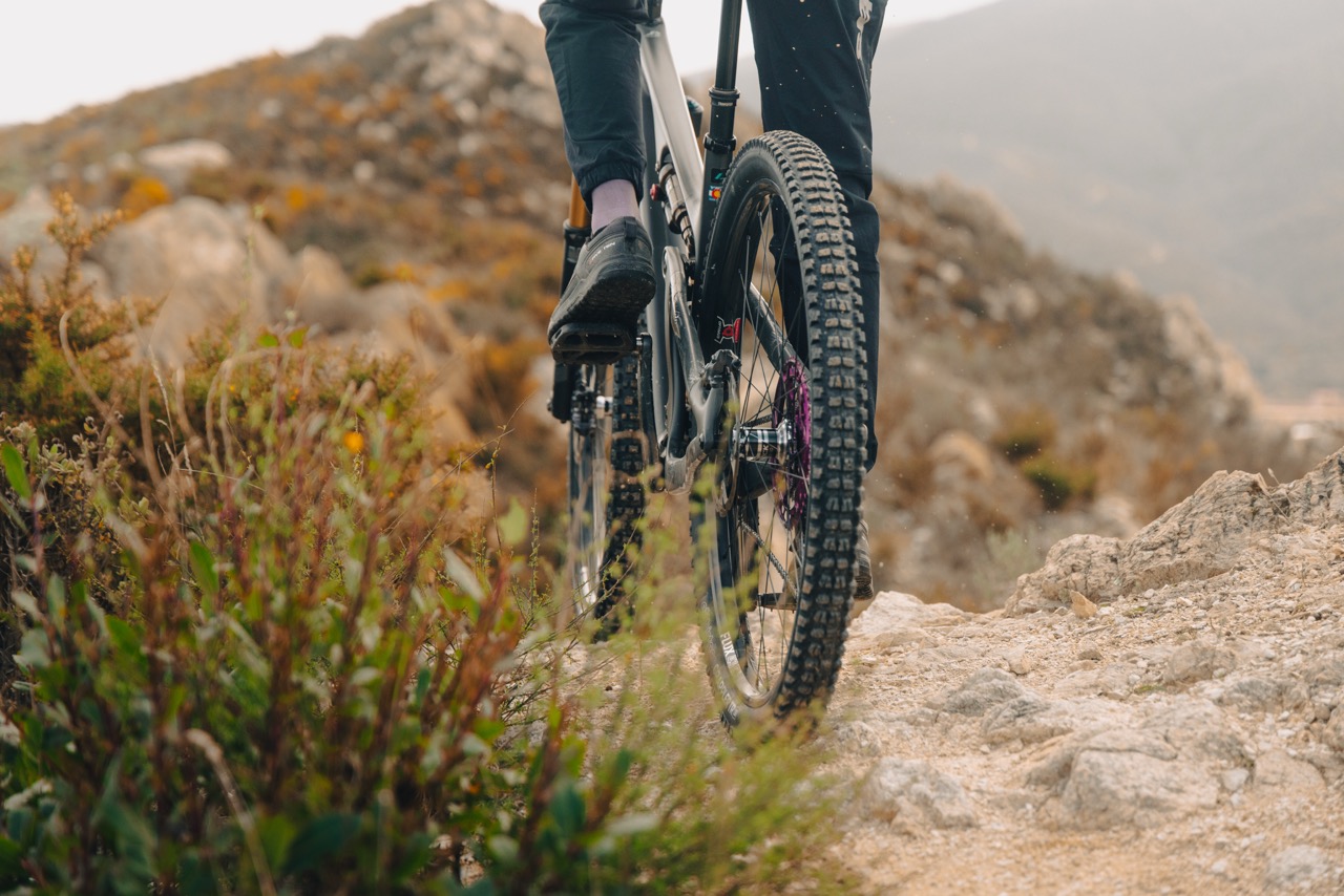 e*thirteen Sidekick 2.0 Hubs rear in action