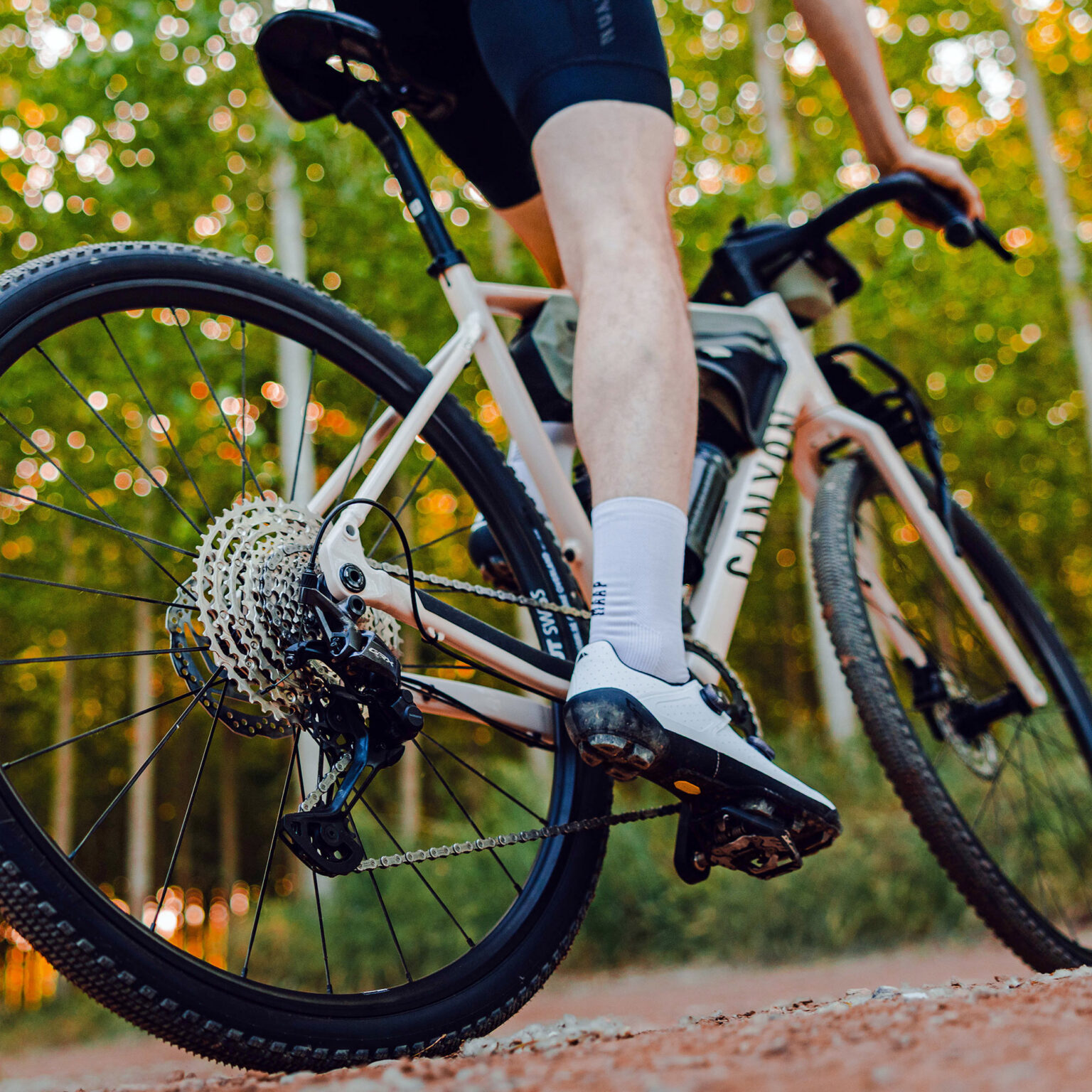 2026 Canyon Grizl AL affordable aluminum alloy adventure gravel bike: rear detail