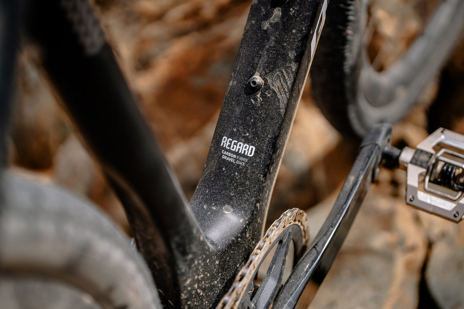 closeup details of radon regard carbon gravel bike downtube.