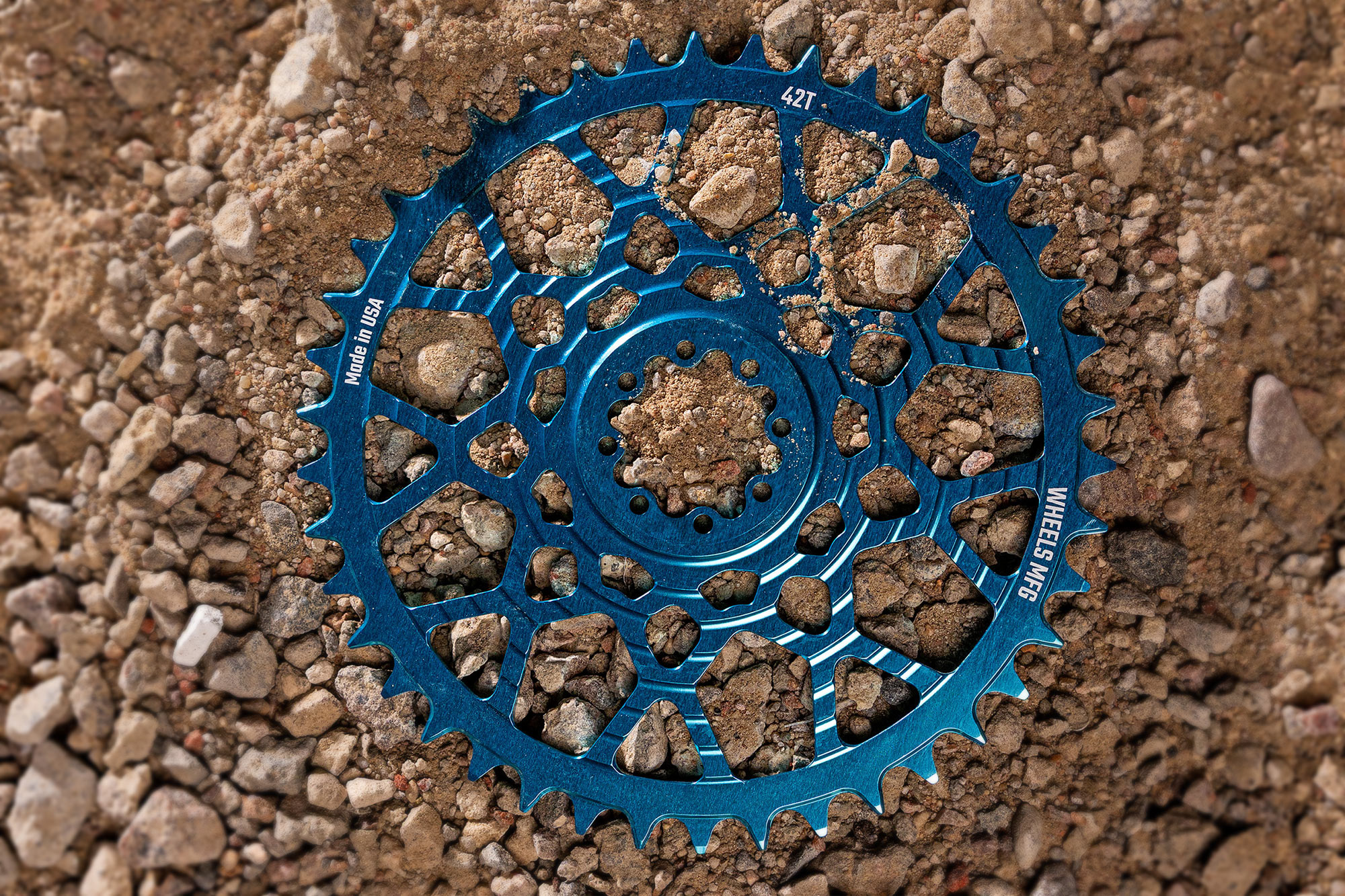 blue 42T chainring