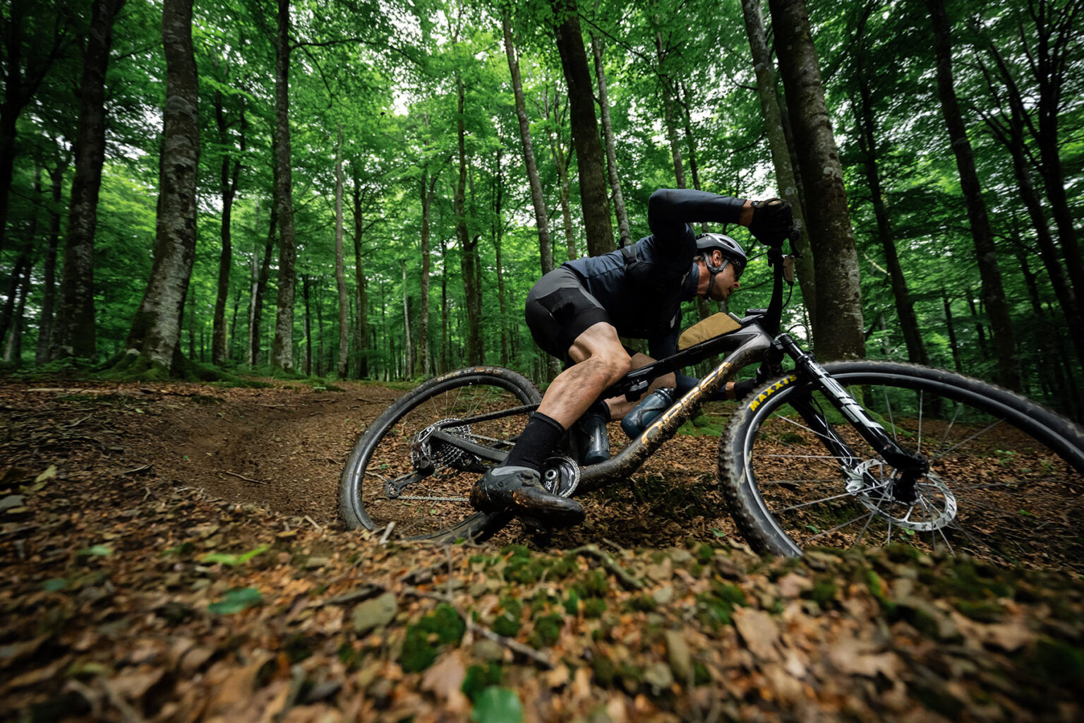 First Rides! New Orbea Oiz Favors Bold Lines, Strong Legs
