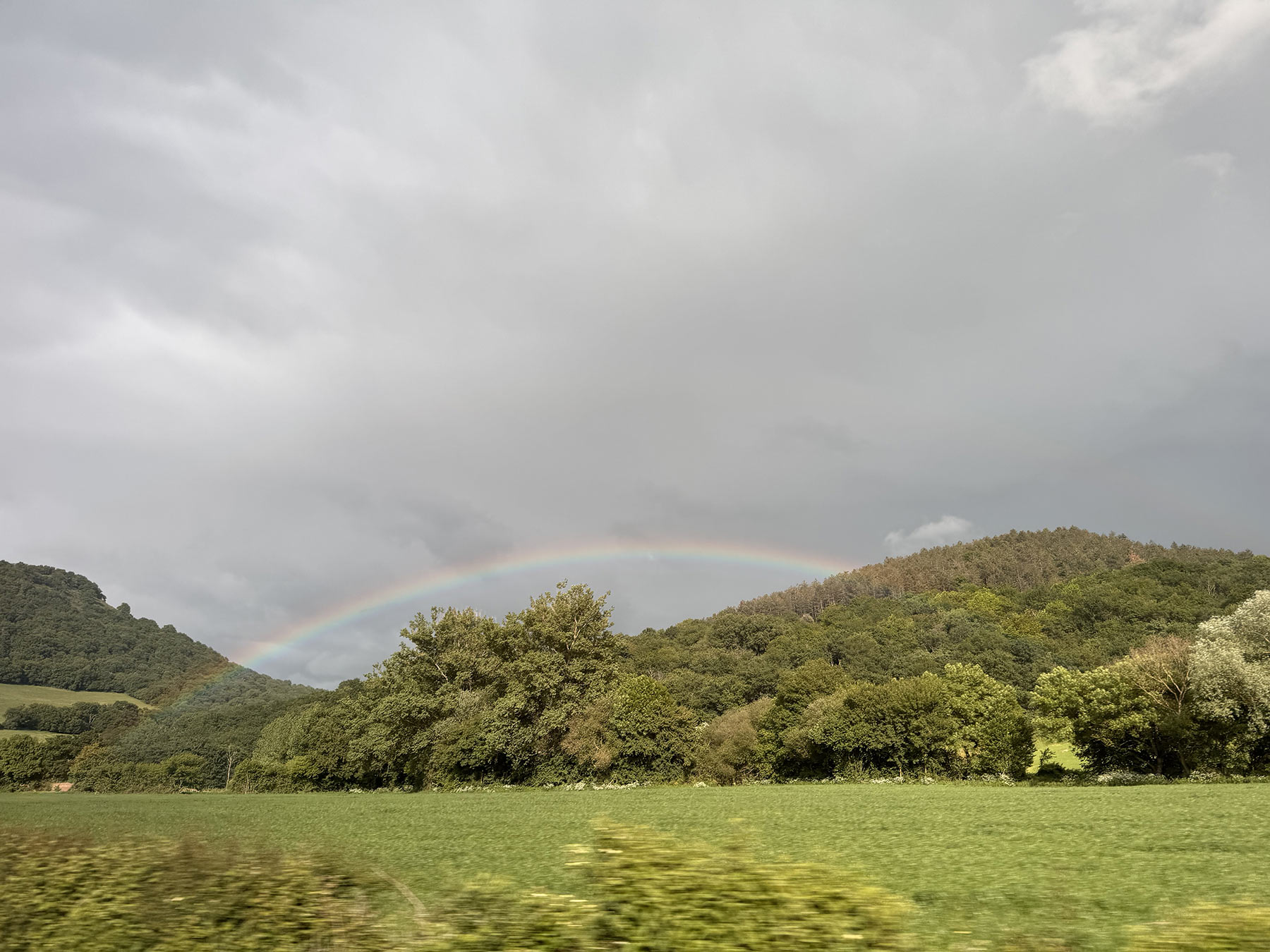 regnbue over en skovbakke.