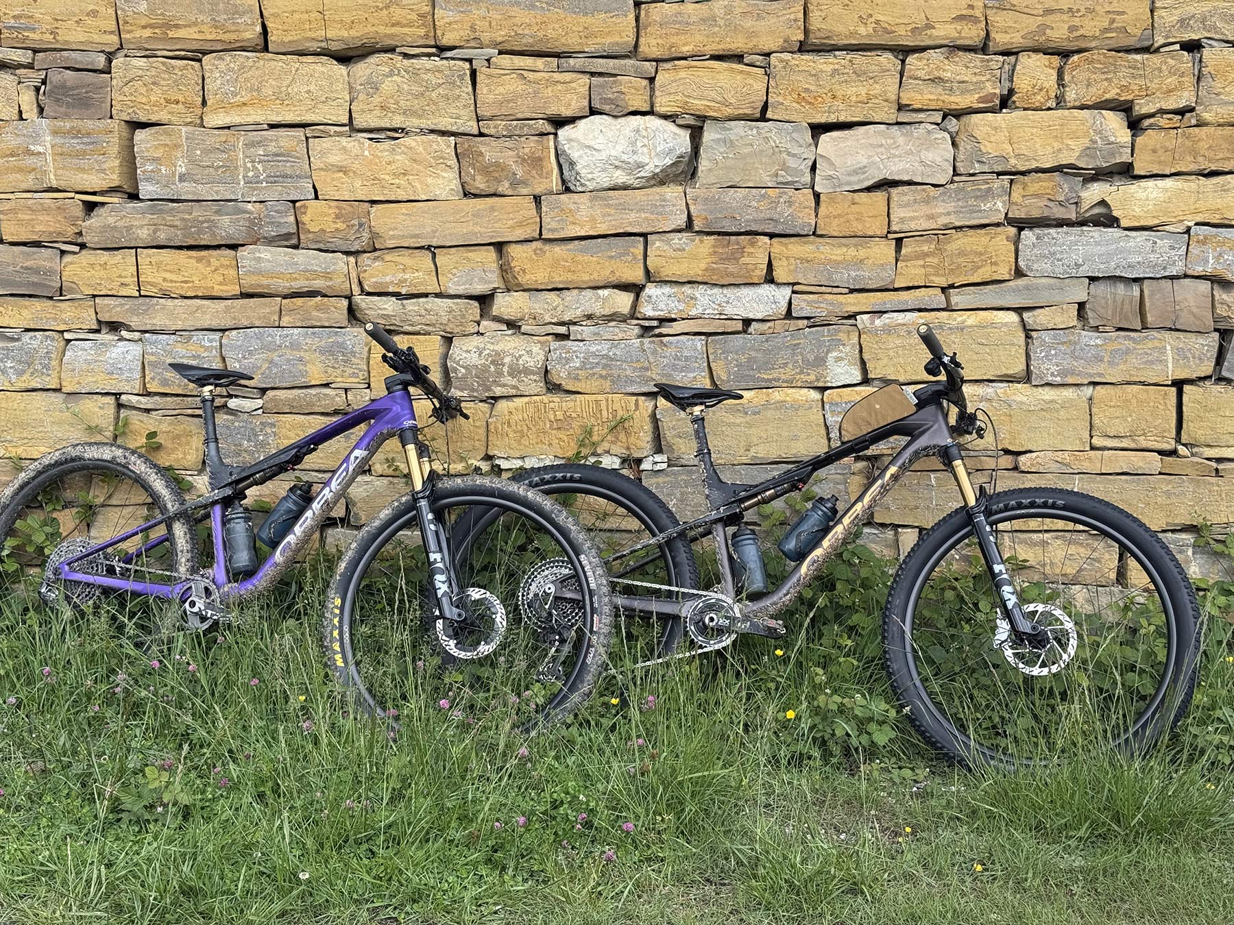 to orbea oiz-cykler lænet op ad en stenmur.