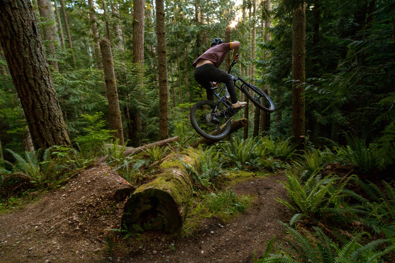 Saut à bûches Marin Bikes Alpine Trail E