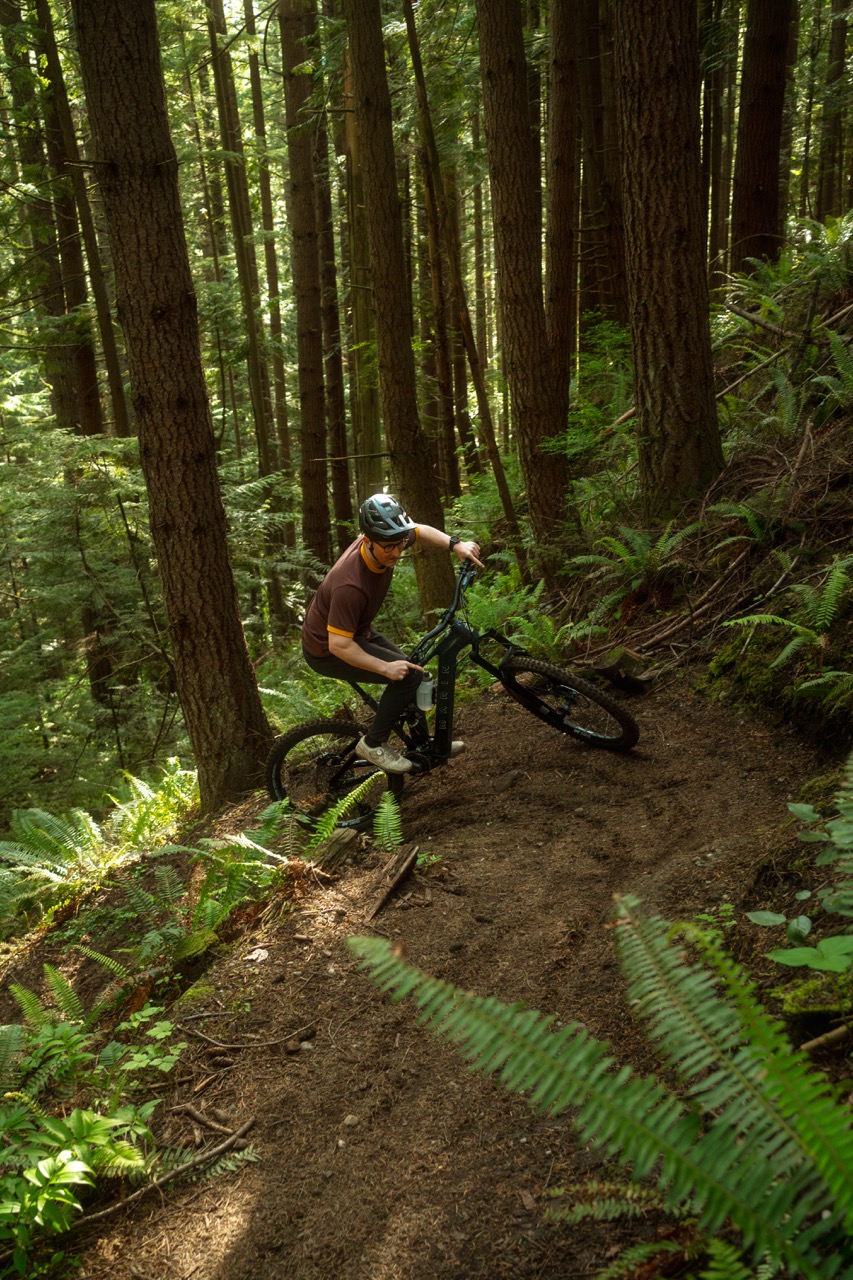 Marin Bikes Alpine Trail E Connexion